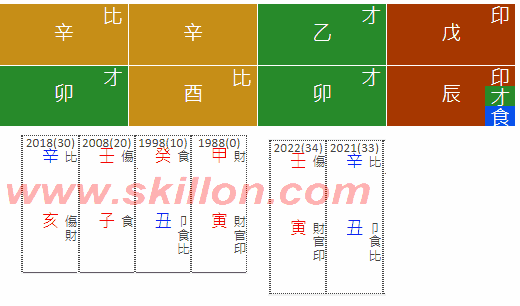  2022 RenYin Investment 八字 BaZi Four Pillars of Destiny Patt Chee